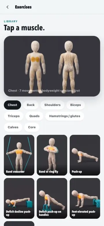 Setwise exercise library: Tap a muscle.